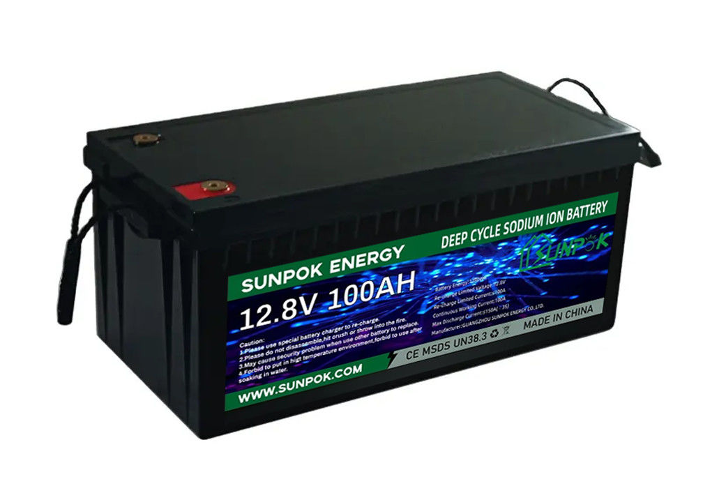 litio Ion Phosphate di Ion Battery 50ah 100ah 150ah 200ah del litio di 12v Li Ion Cell 24v