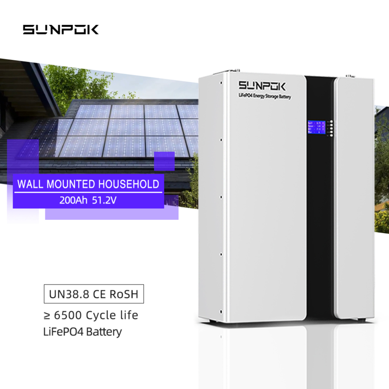 2025 8000 Cicli 51.2V 200Ah 48V LiFePO4 Solare 10Kwh Batteria di accumulo di energia domestica Batterie al litio